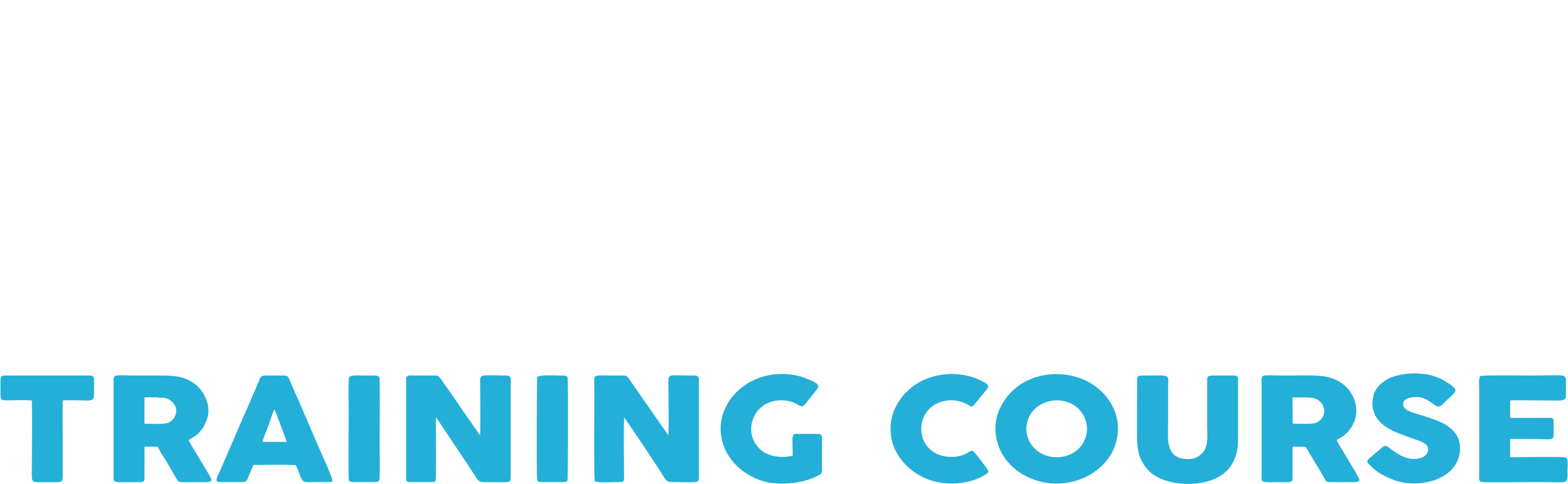 Logo Borneo Training Course
